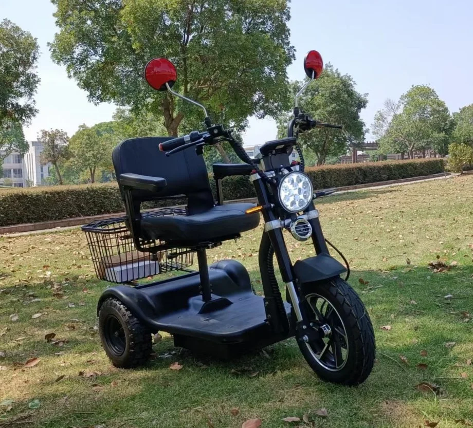 Factory Directly Three Wheels Differential Motor Electric Handicapped Scooter for Old