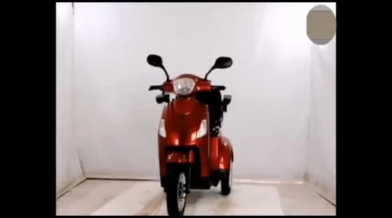 EEC Approval Opened 3 Wheel Moped Scooter Cheap Electric Tricycle for Old People