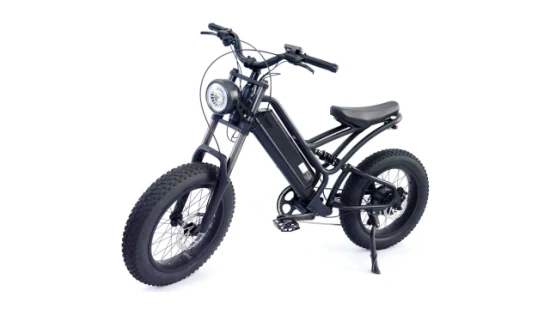 20*4.0 Fat Tire Male Mountain and Commuting Aluminium Frame Electric Bike E-Bicycle Ebike