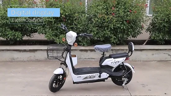 48V12A/20A 350W/500W New Model for Men Women Electric Fat Tire Bike Electric Bicycle